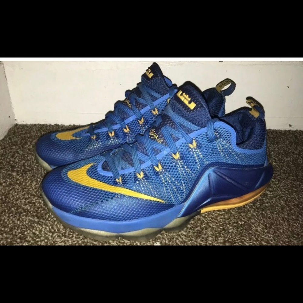 Nike lebron xii low entourage sz 11